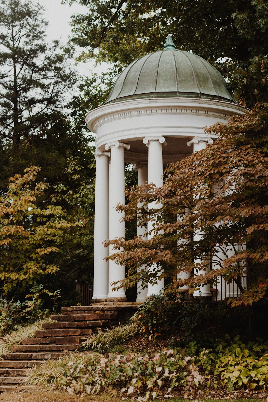 white dome gazebo surrounded with trees