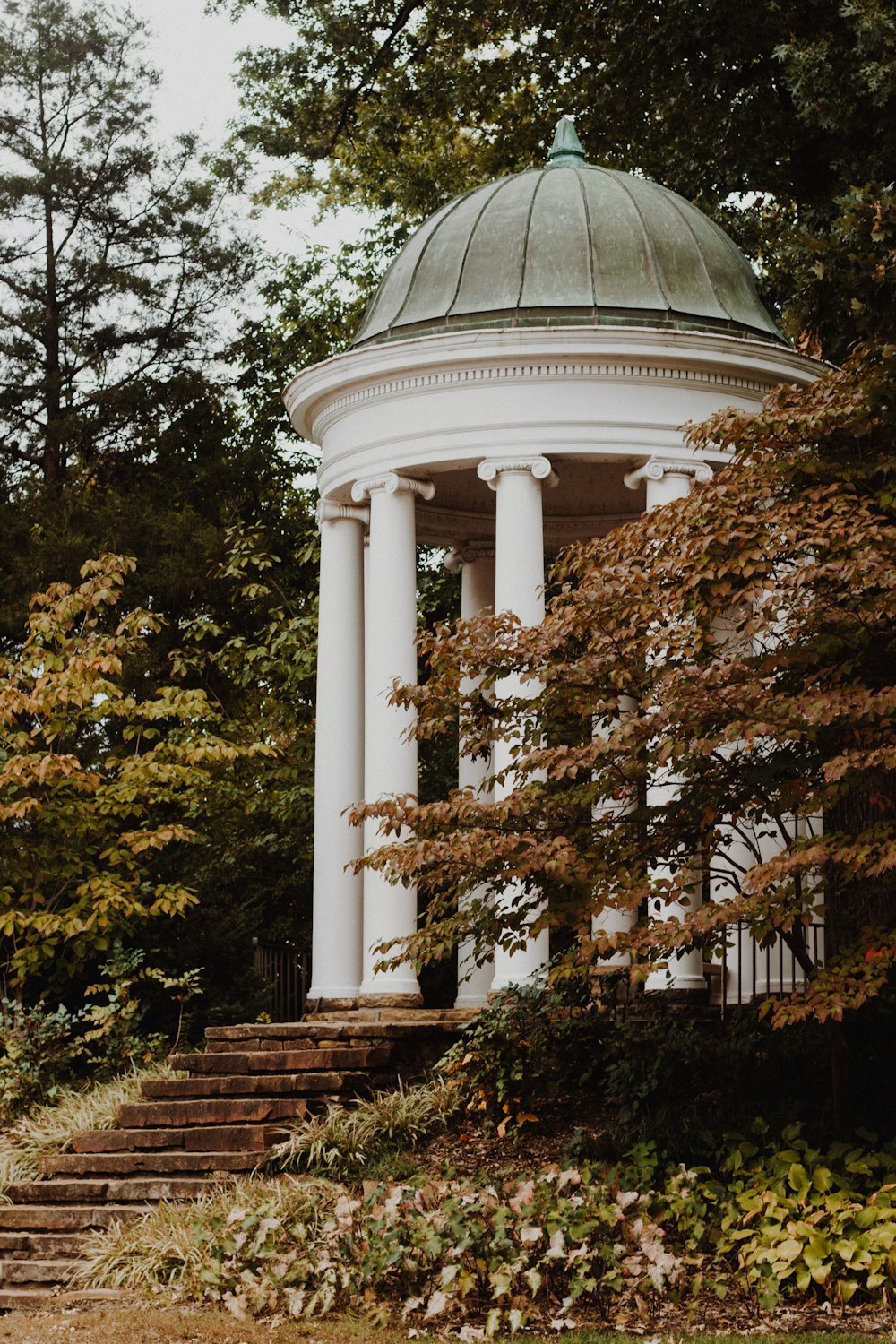 white dome gazebo surrounded with trees