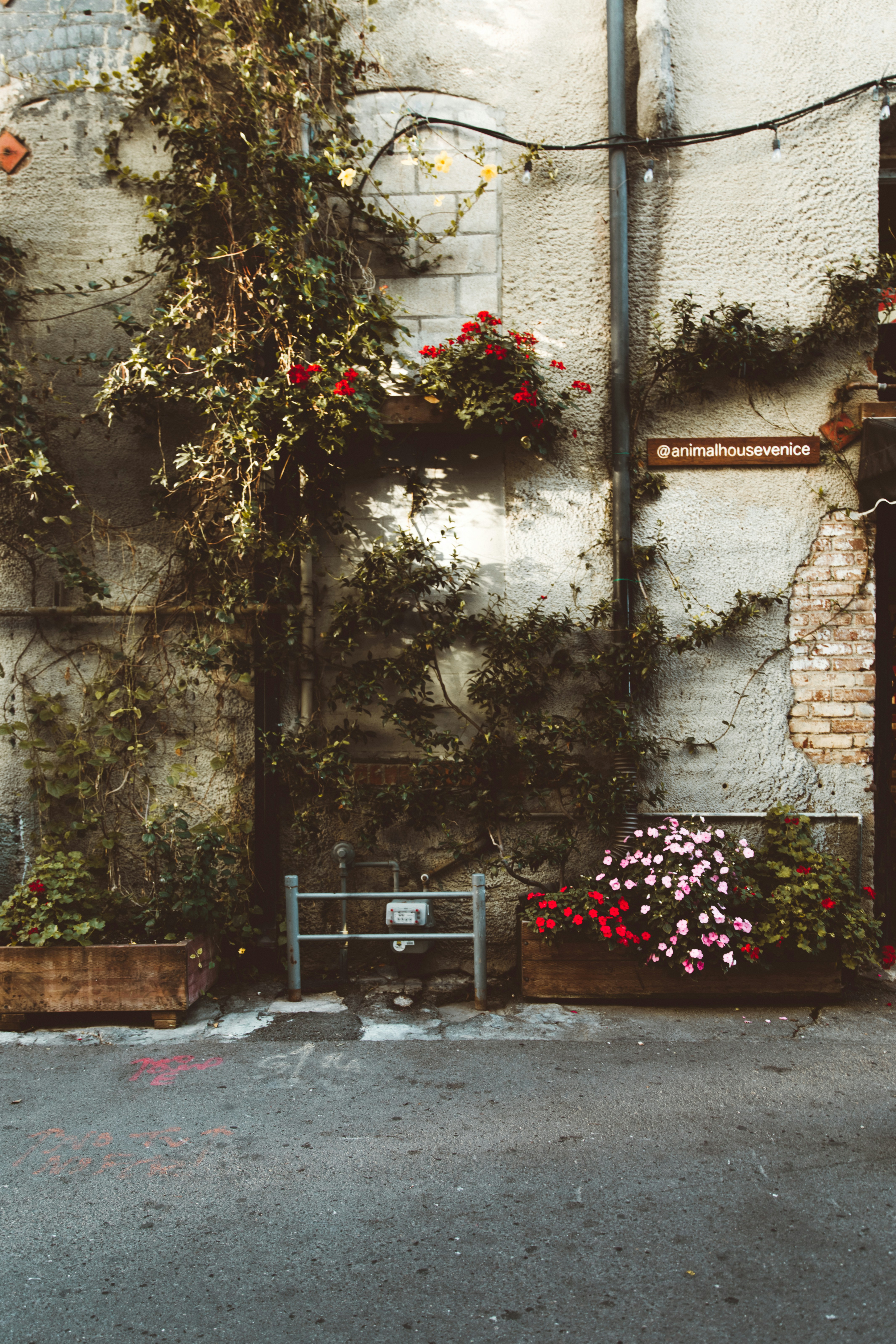 Photo by nate_dumlao