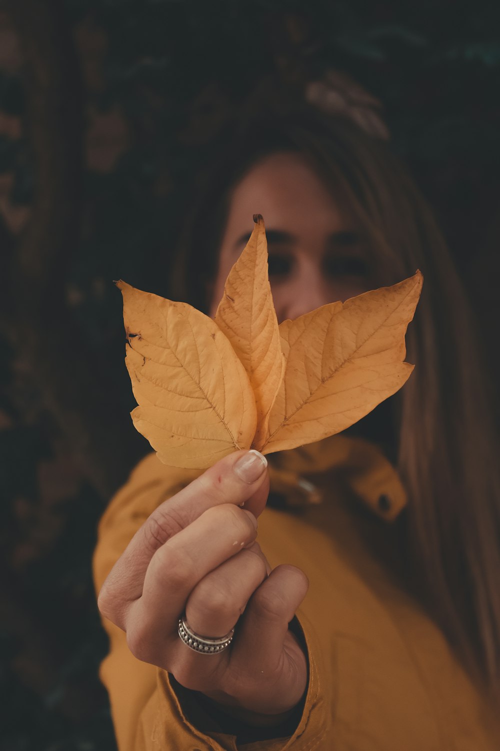 person holding yellow leaf