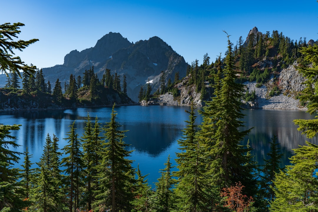 Tropical and subtropical coniferous forests photo spot Gem Lake Snow Lake