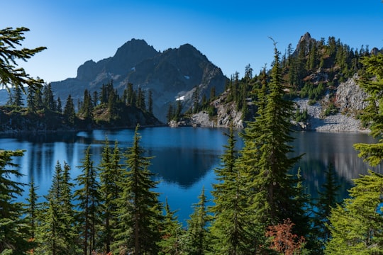 view of lake surrounded by trees during day time in Gem Lake United States