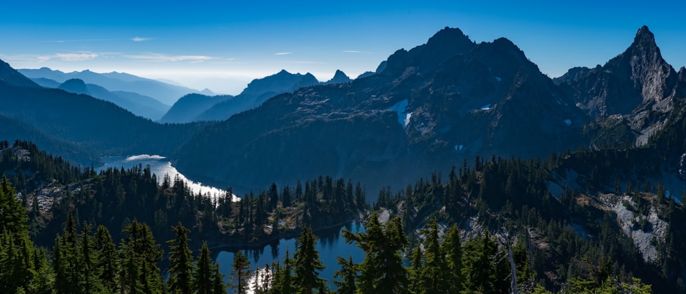 green leafed trees beside mountains