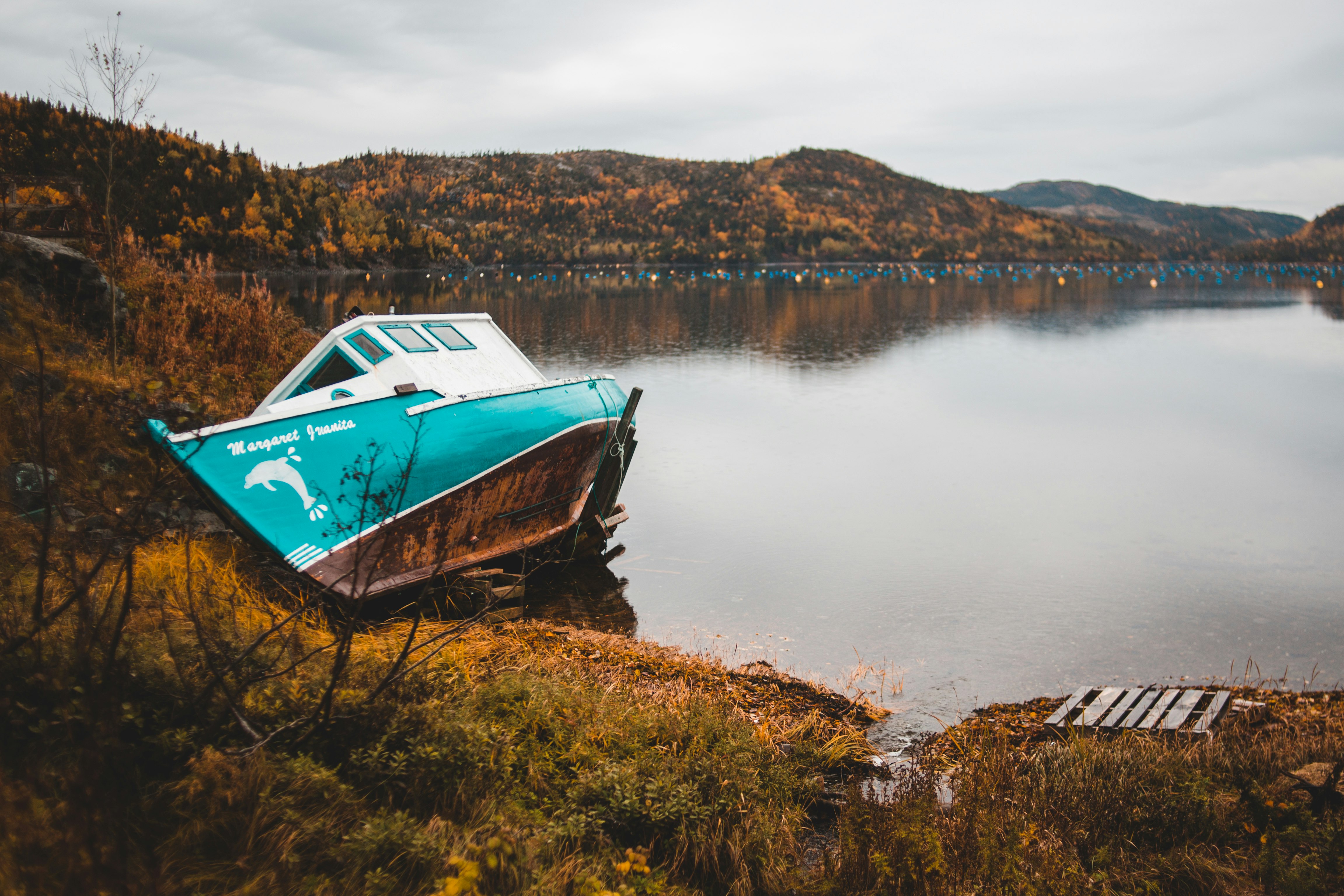 teal and white ship on shore during daytime