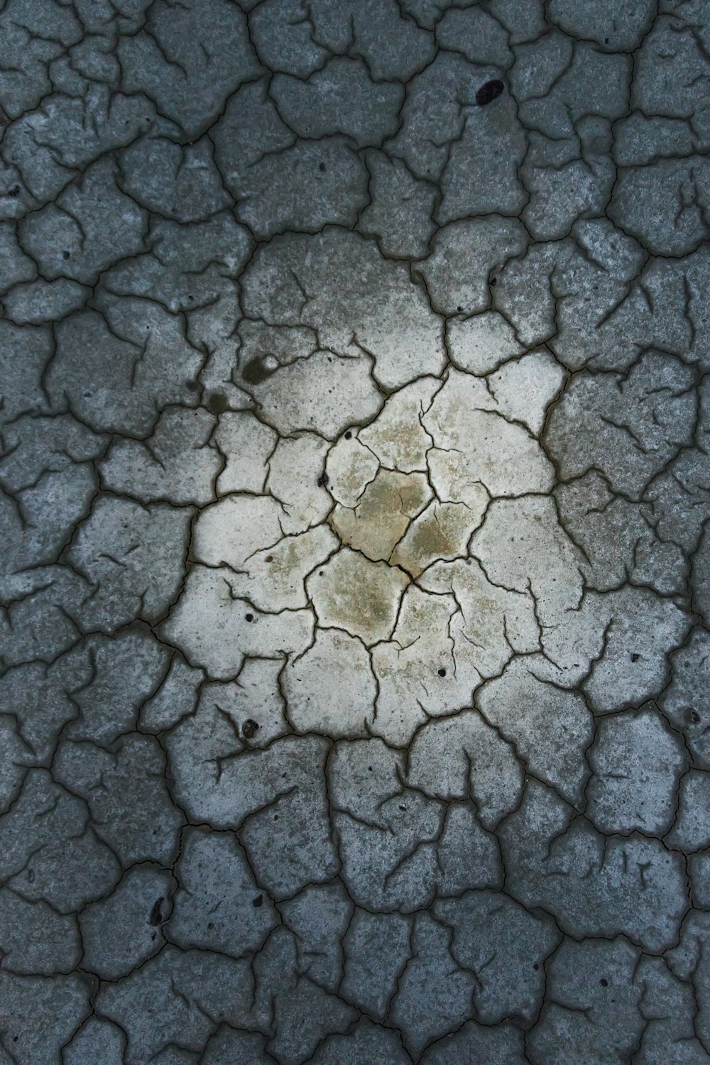 cracked soil