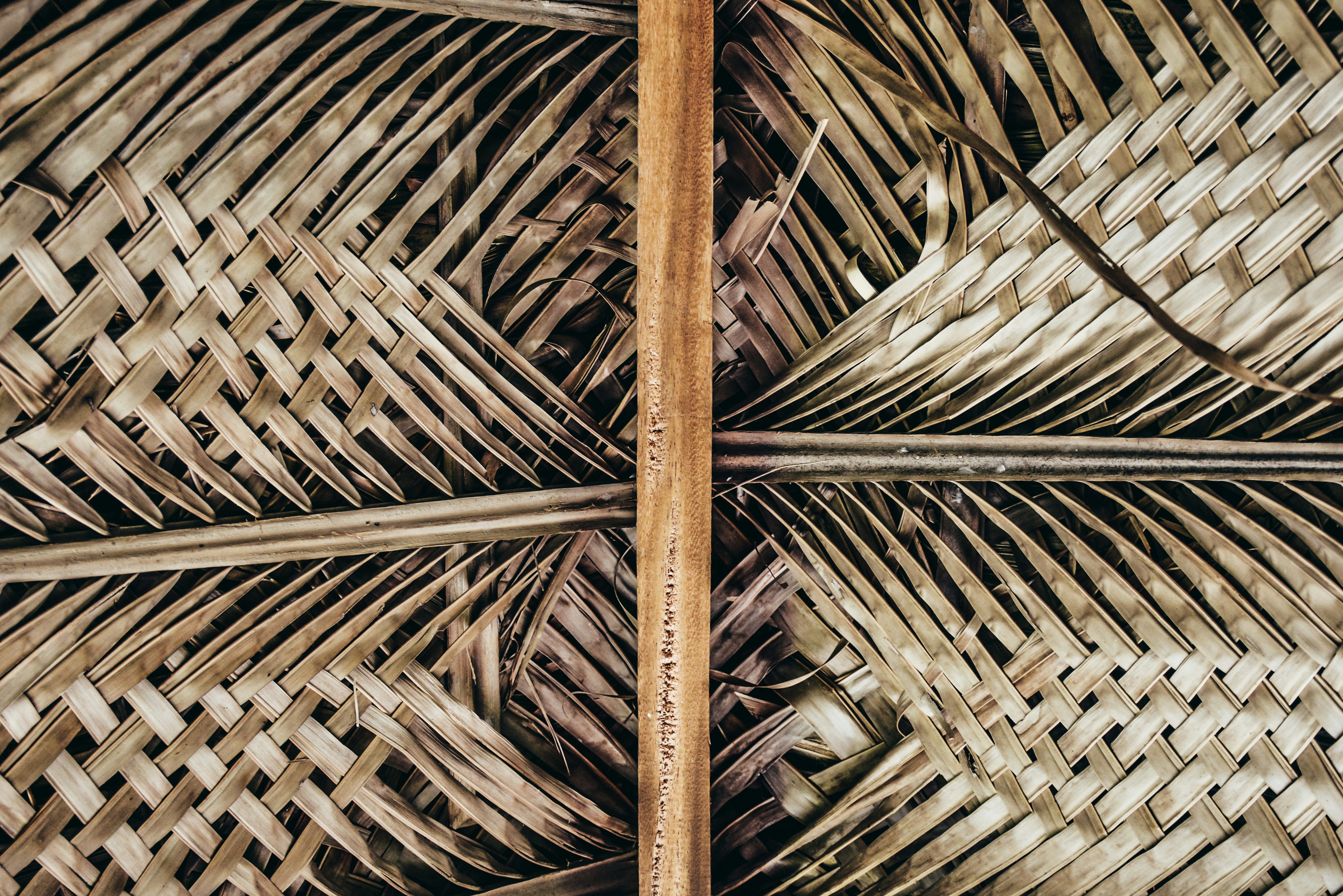 Photo by ideasdivinas