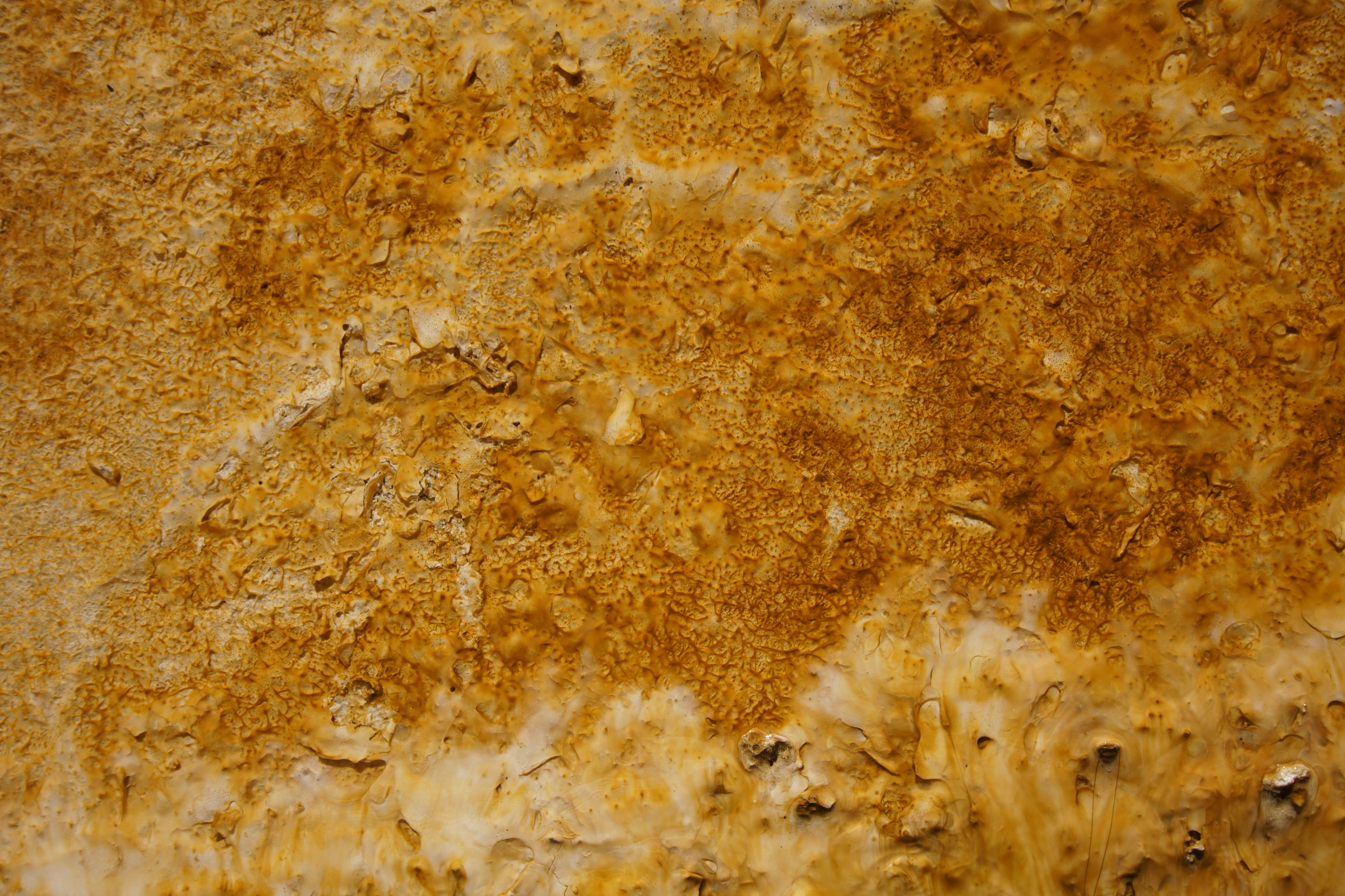 The Food Safety Rules That Actually Matter Abroad