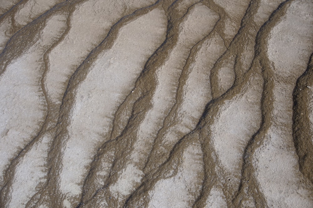 aerial photography of white and brown field