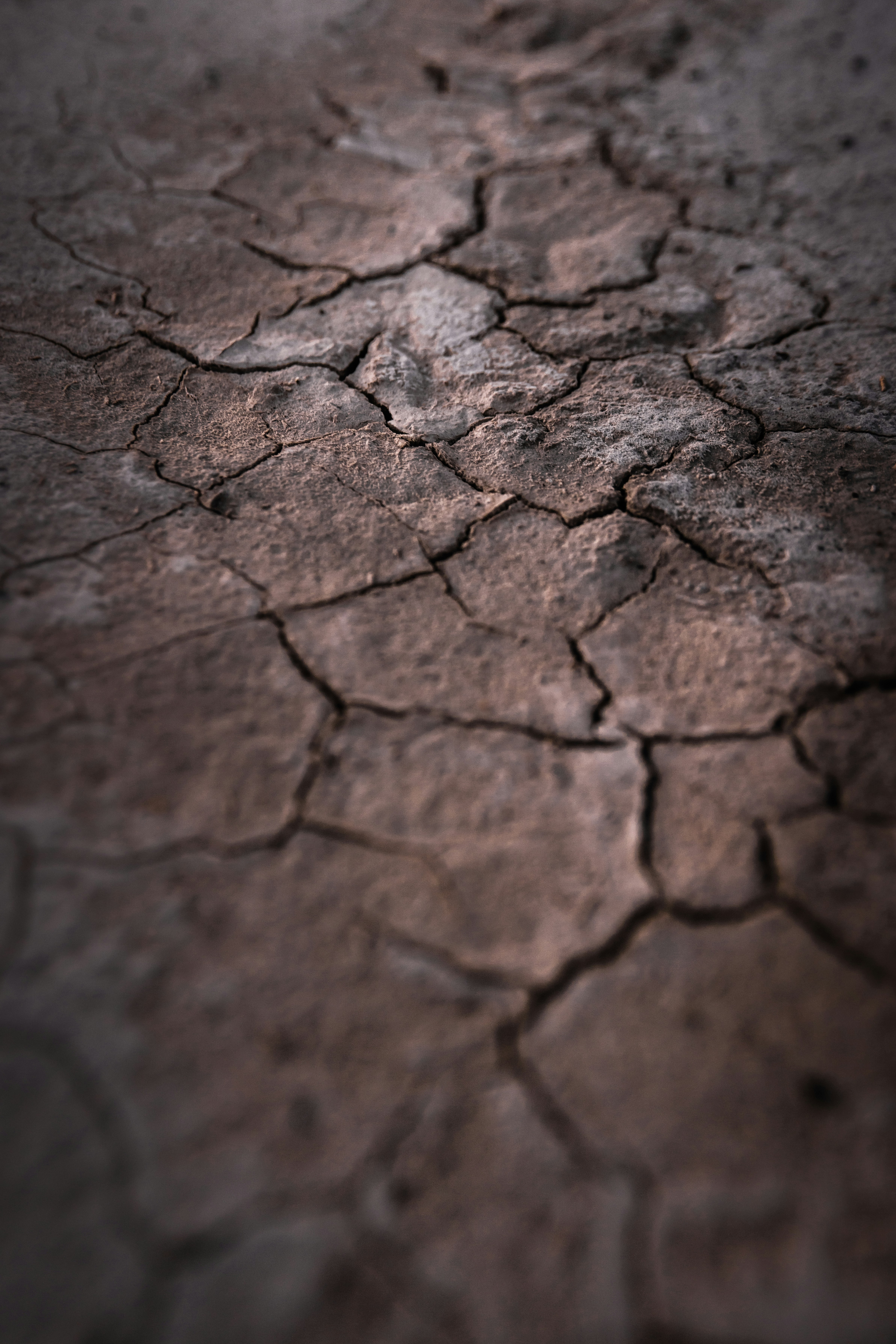 Photo by worldsbetweenlines