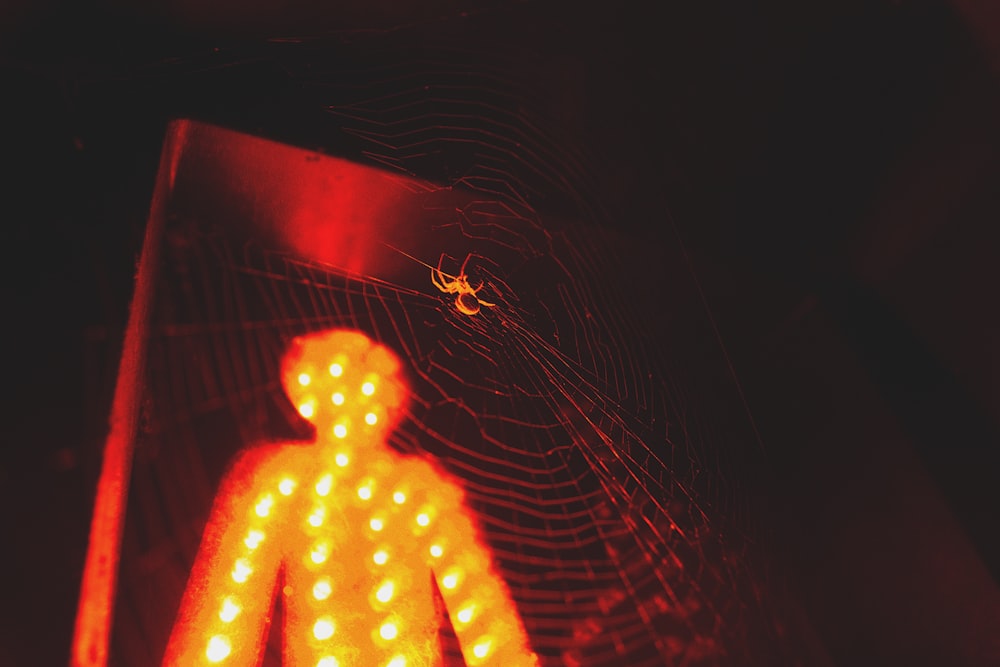 selective focus photography of spider in its web
