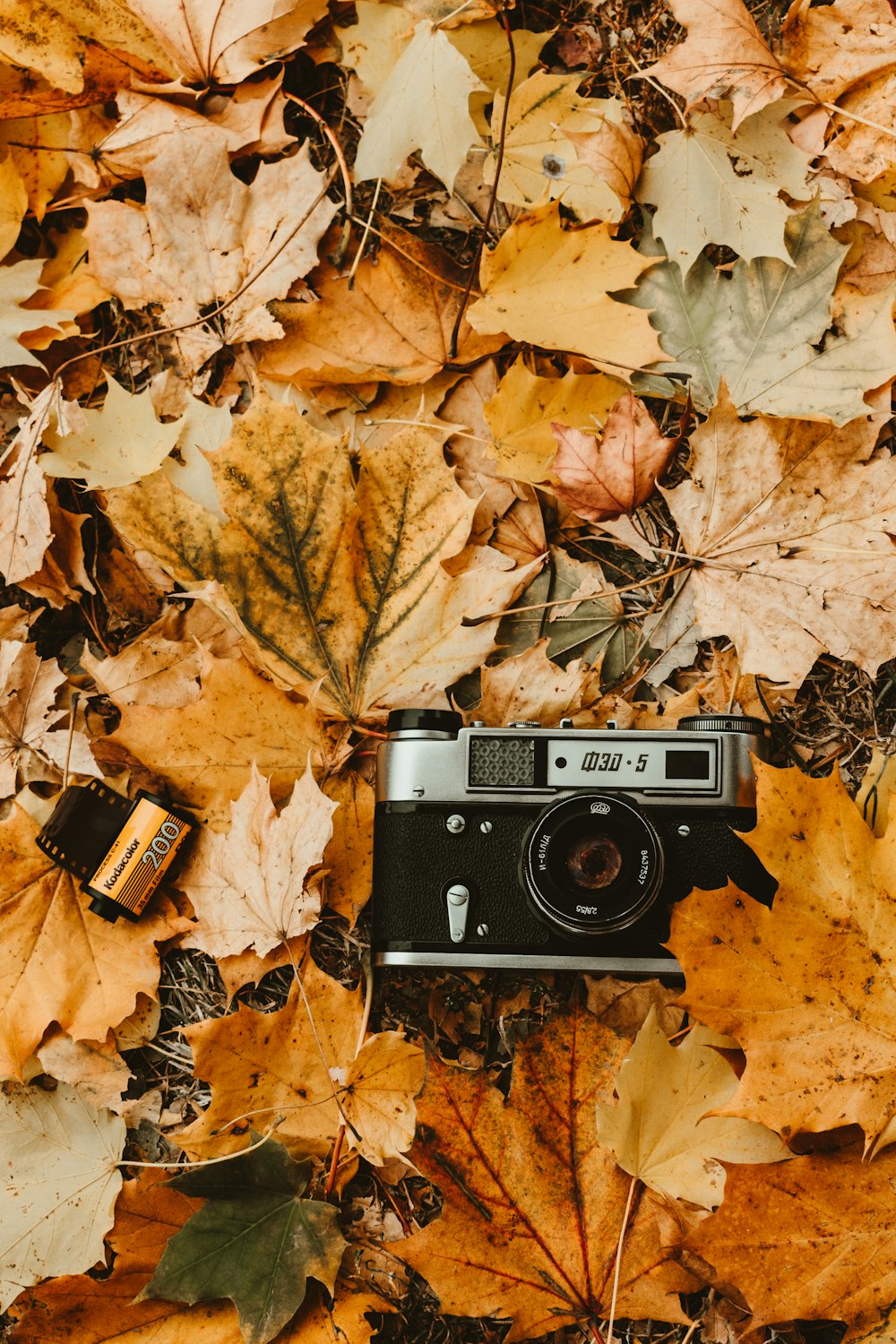 black and gray camera on ground surrounded with leaves