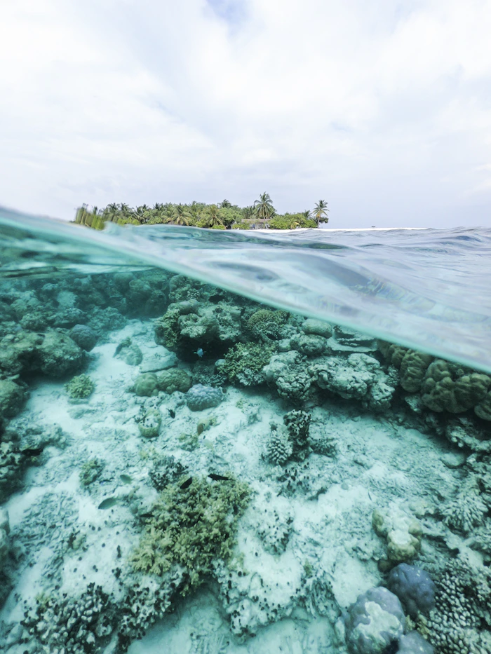 Las Terrenas travel guide