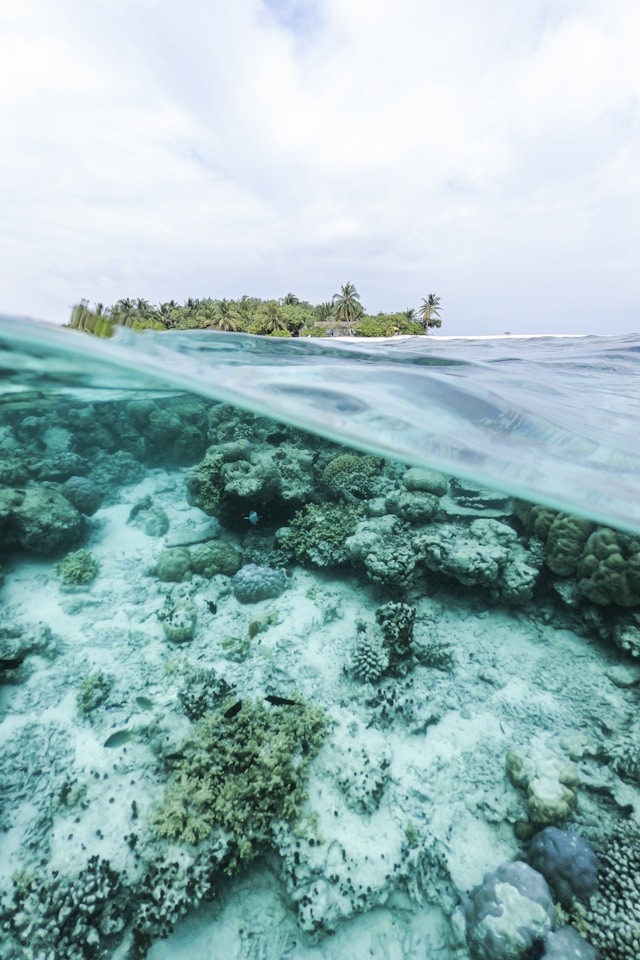 Maldives