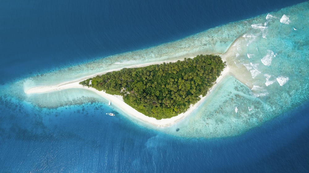 green trees island with blue sea