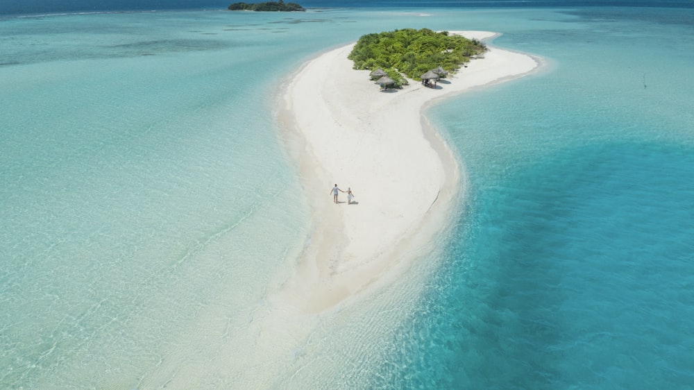 two person walking on islet during daytime