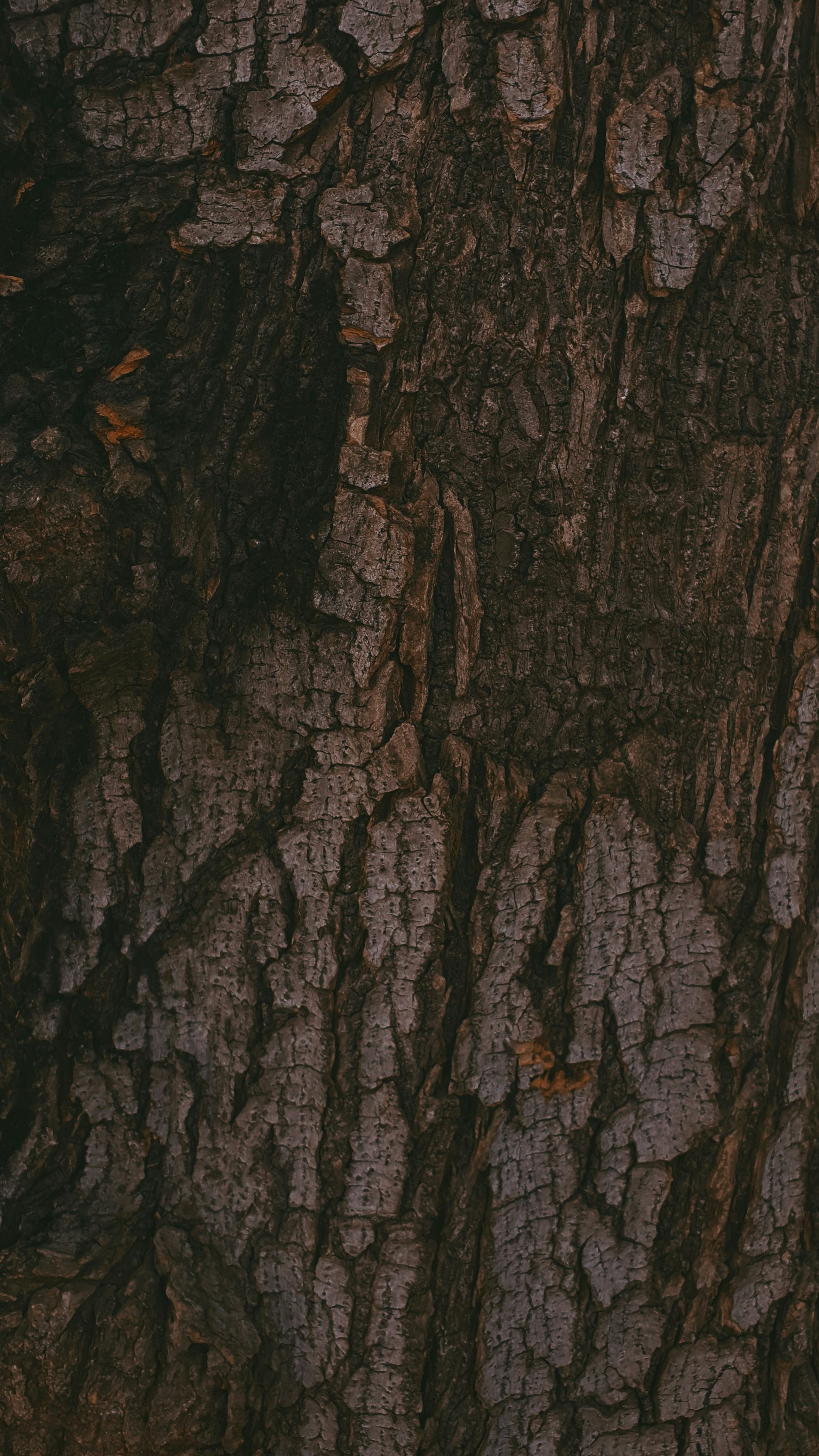 Photo by wallsbysmit