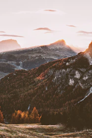 A serene view of the Carpathian Mountains under a golden sunset, with hikers enjoying the scenery.