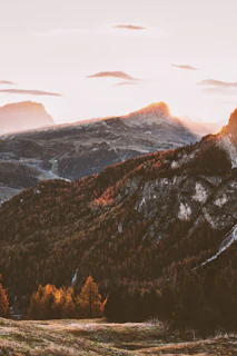 A serene view of the Carpathian Mountains under a golden sunset, with hikers enjoying the scenery.