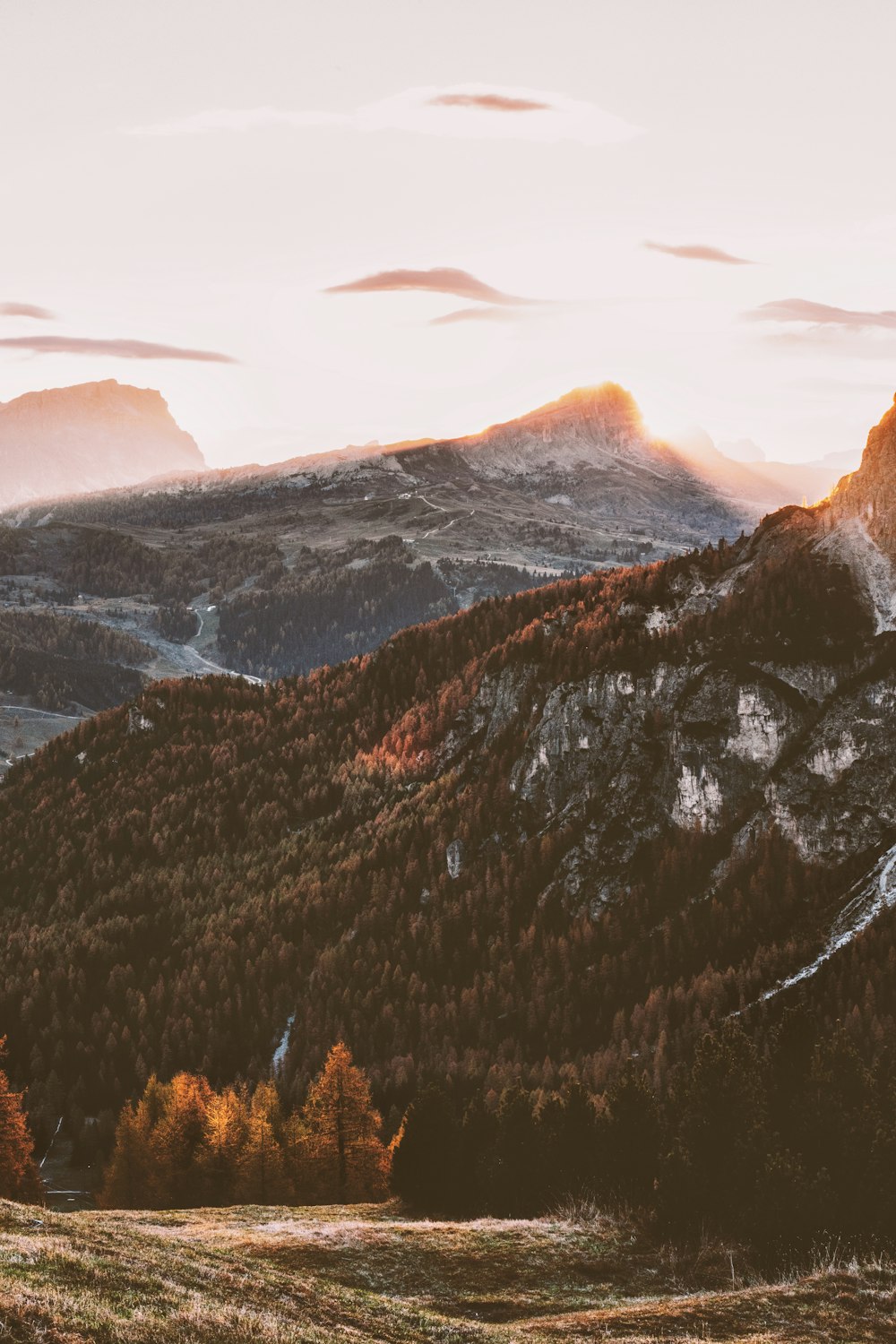 mountain with trees in nature photography