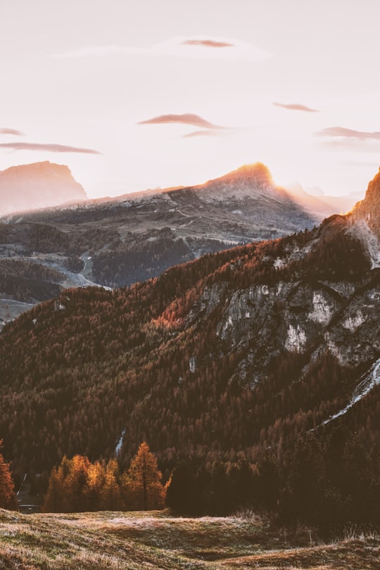 mountain with trees in nature photography in Corvara Italy