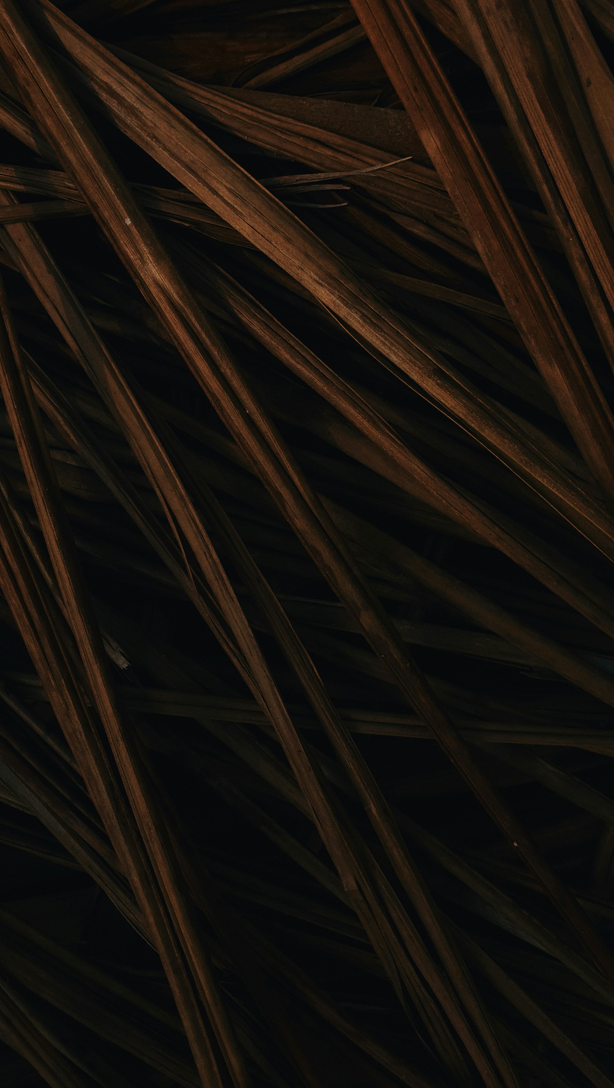 Photo by wallsbysmit