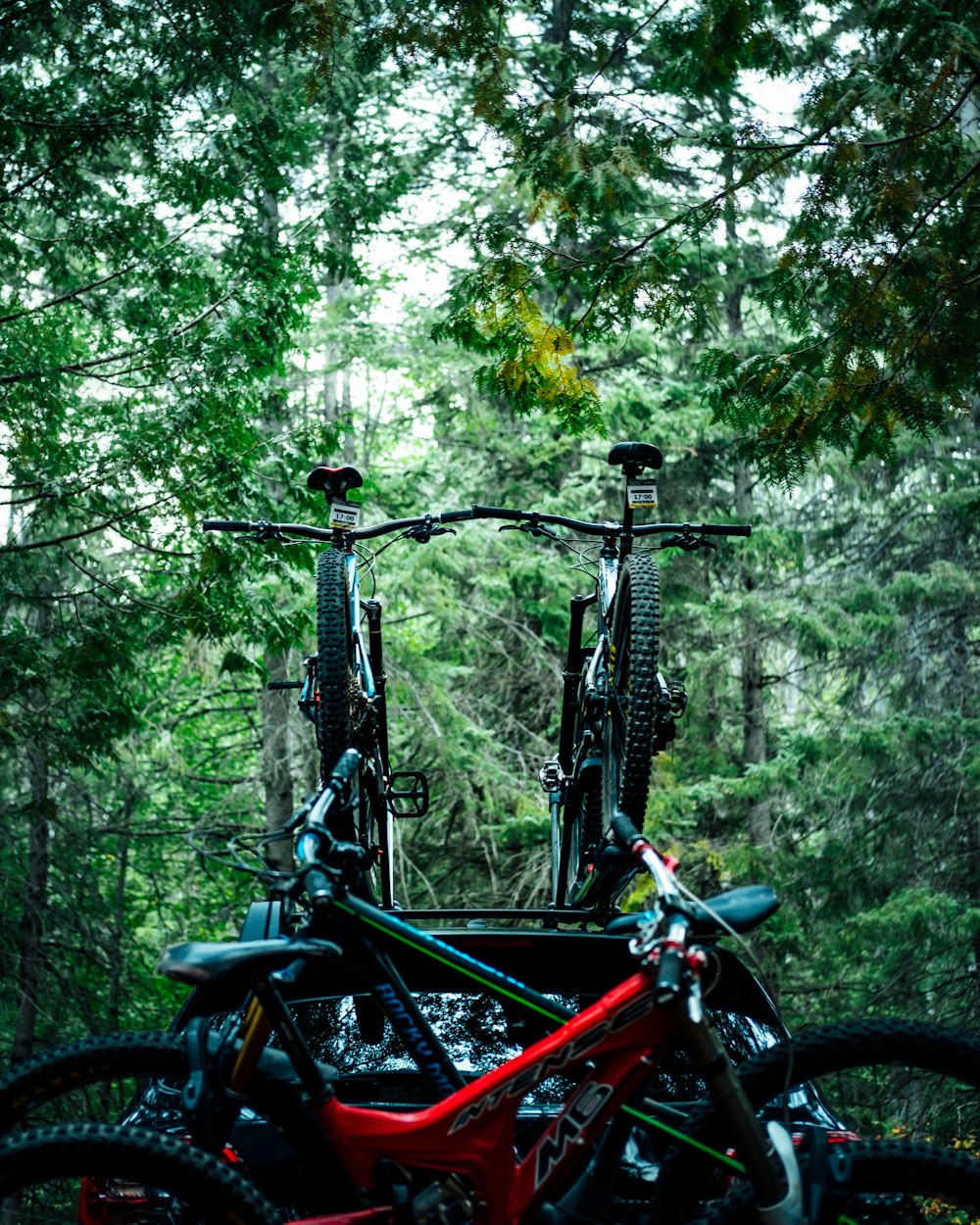 pike of bikes near trees