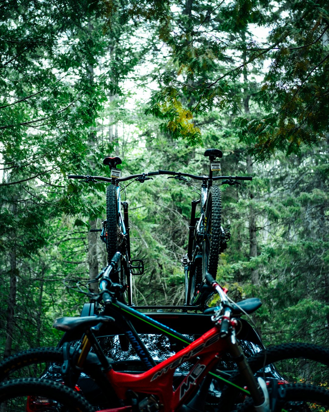 Mountain bike photo spot Sugarloaf Mountain Canada