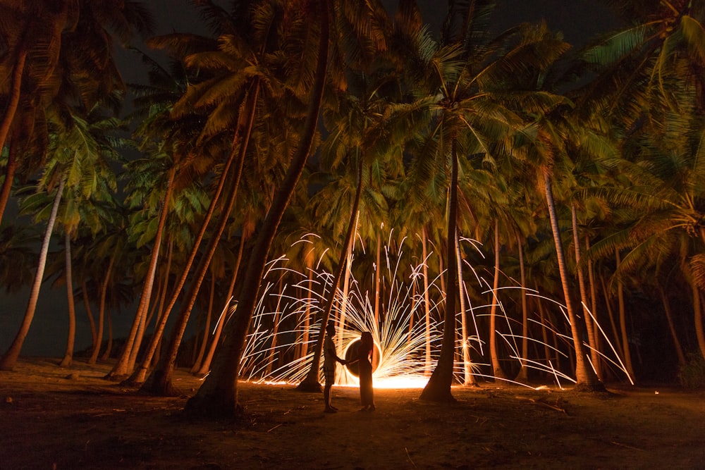 time lapse photo of optic light under palm trees at night