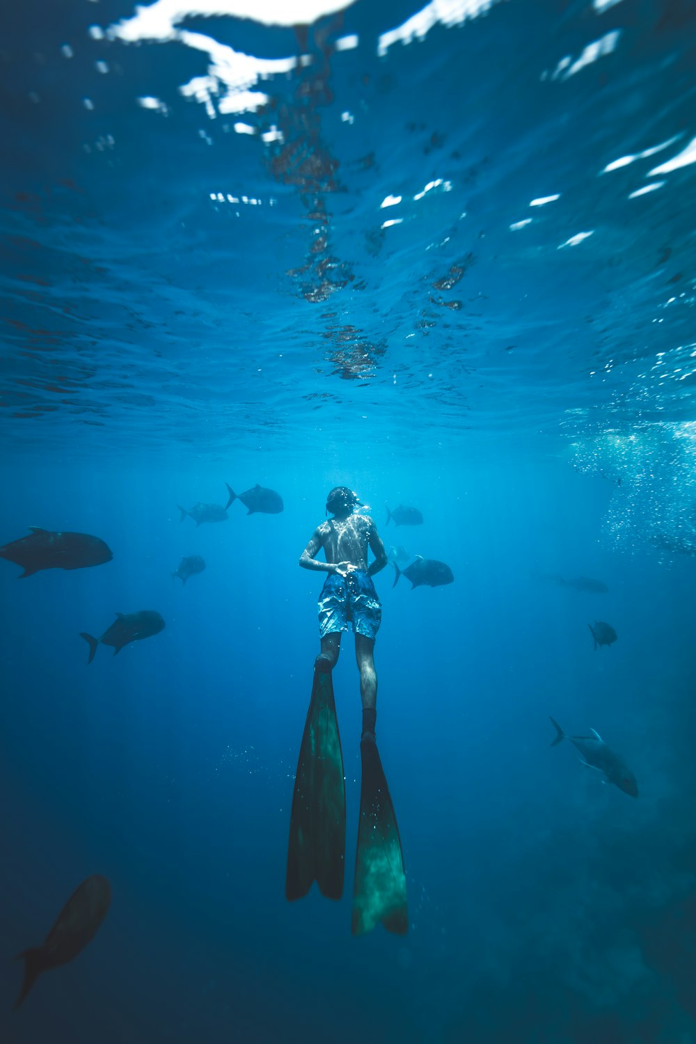 person in white shorts and pair of flippers swimming under water