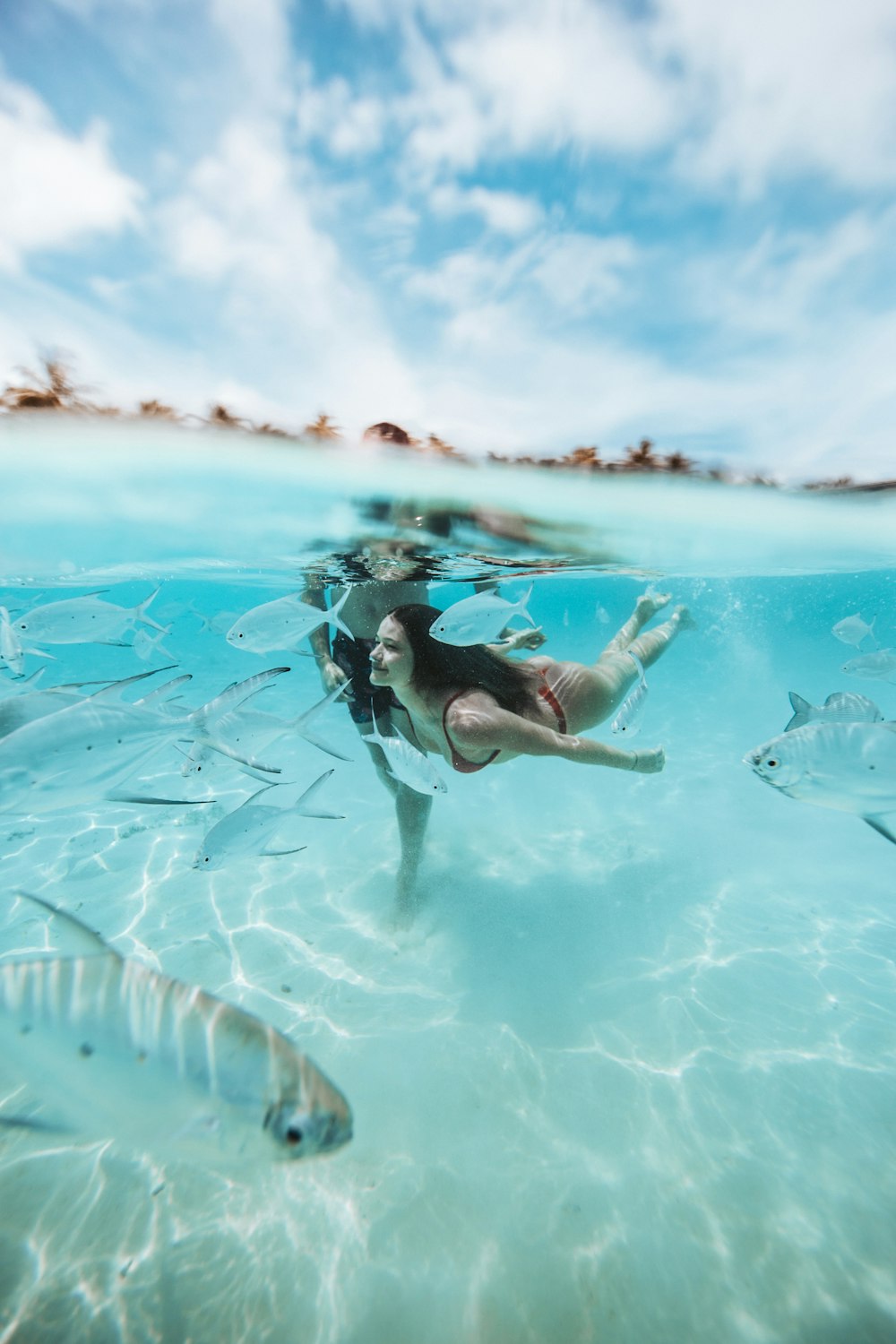 two people diving on clear body of water