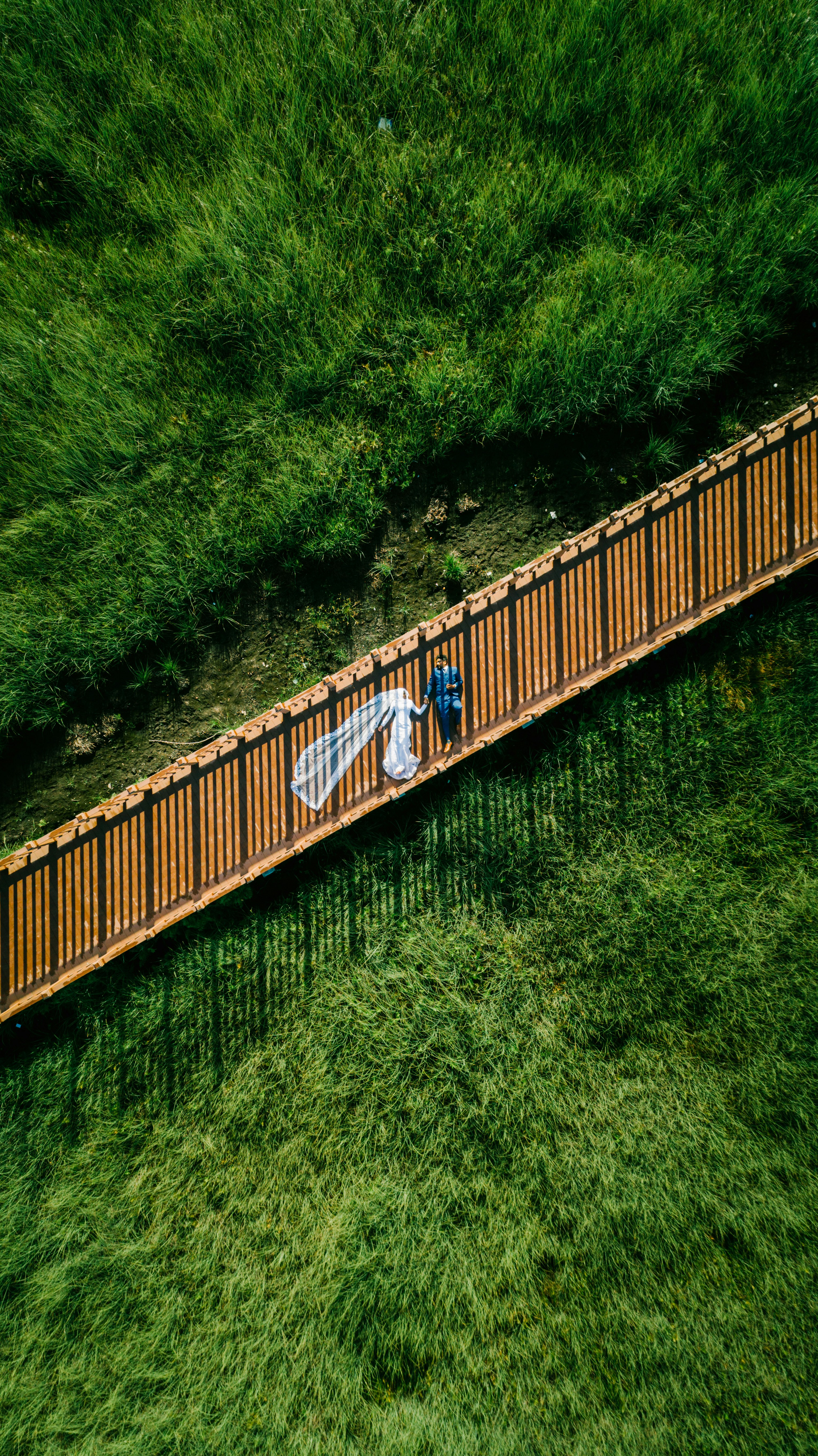 brown bridge near green trees
