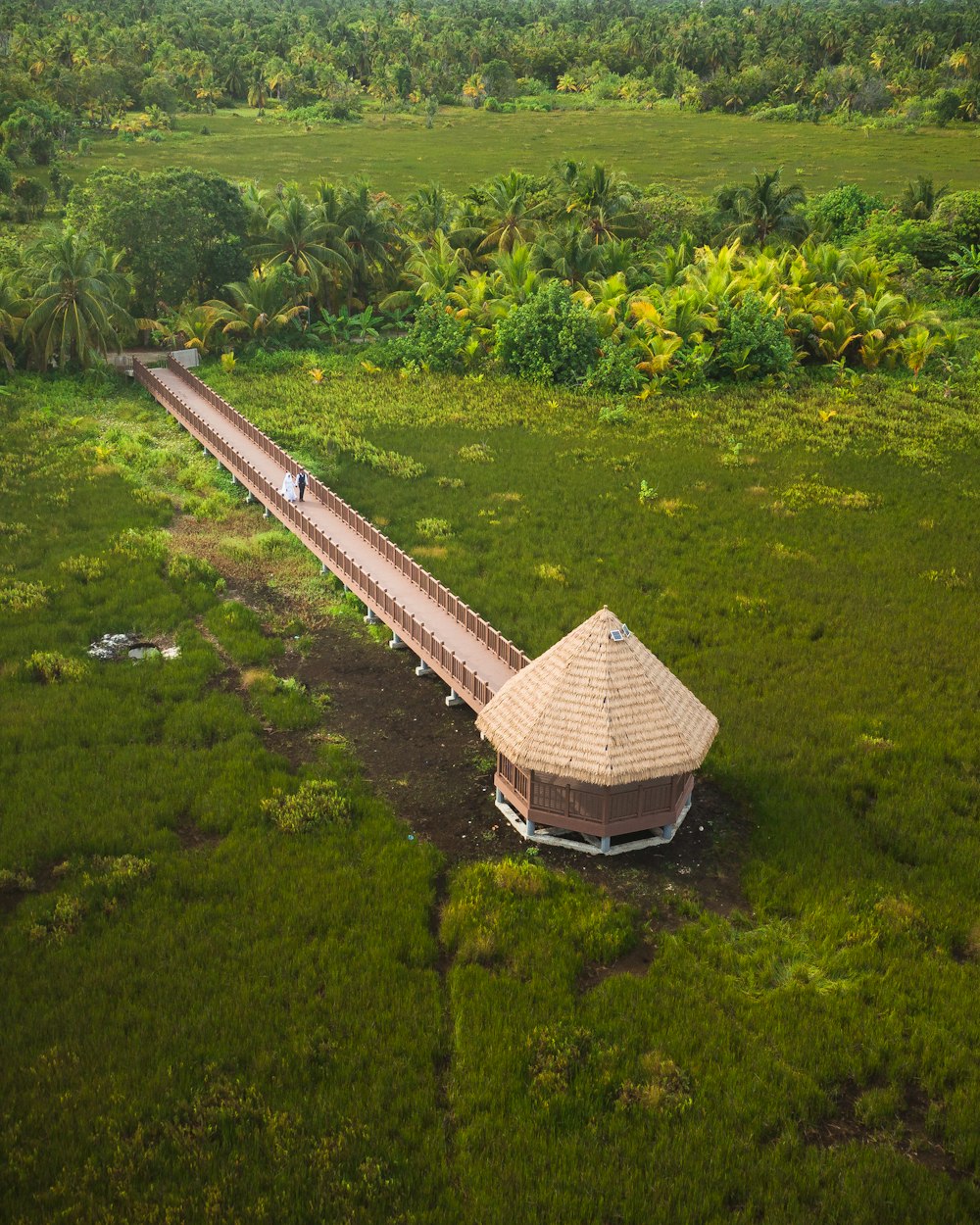 high-angle photography of brown nipa house