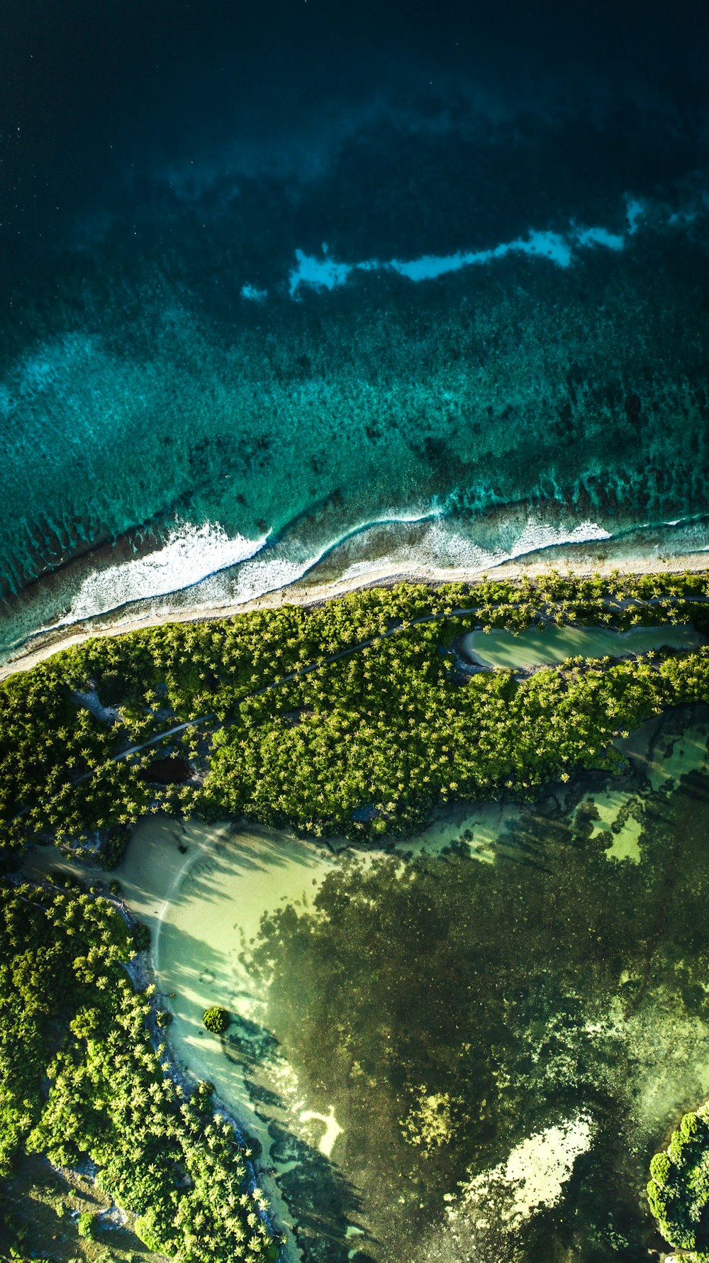 Coastline of an island in the Maldives