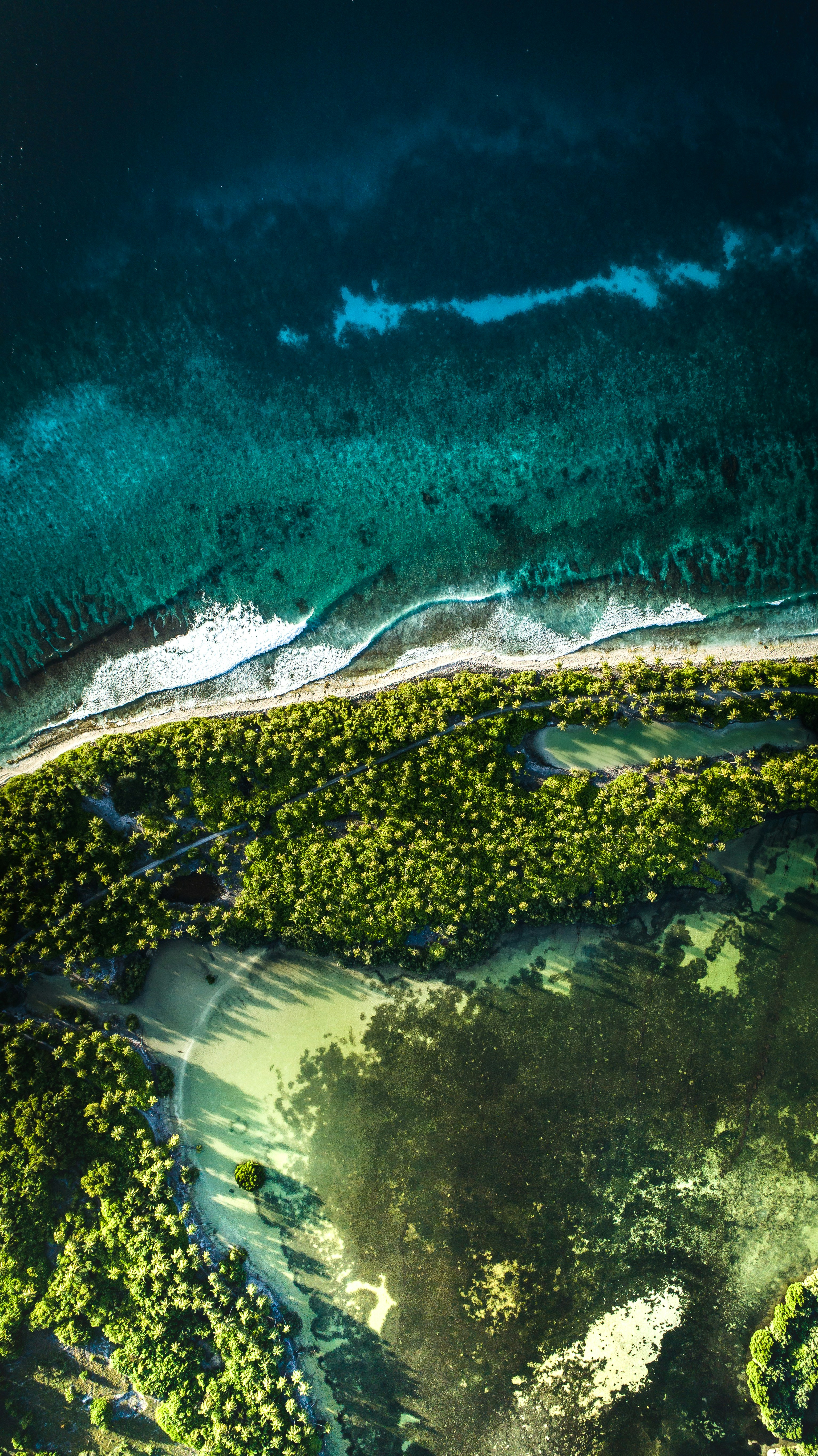 Best 100  Free Background Images [HD]  Download your next background photo on Unsplash