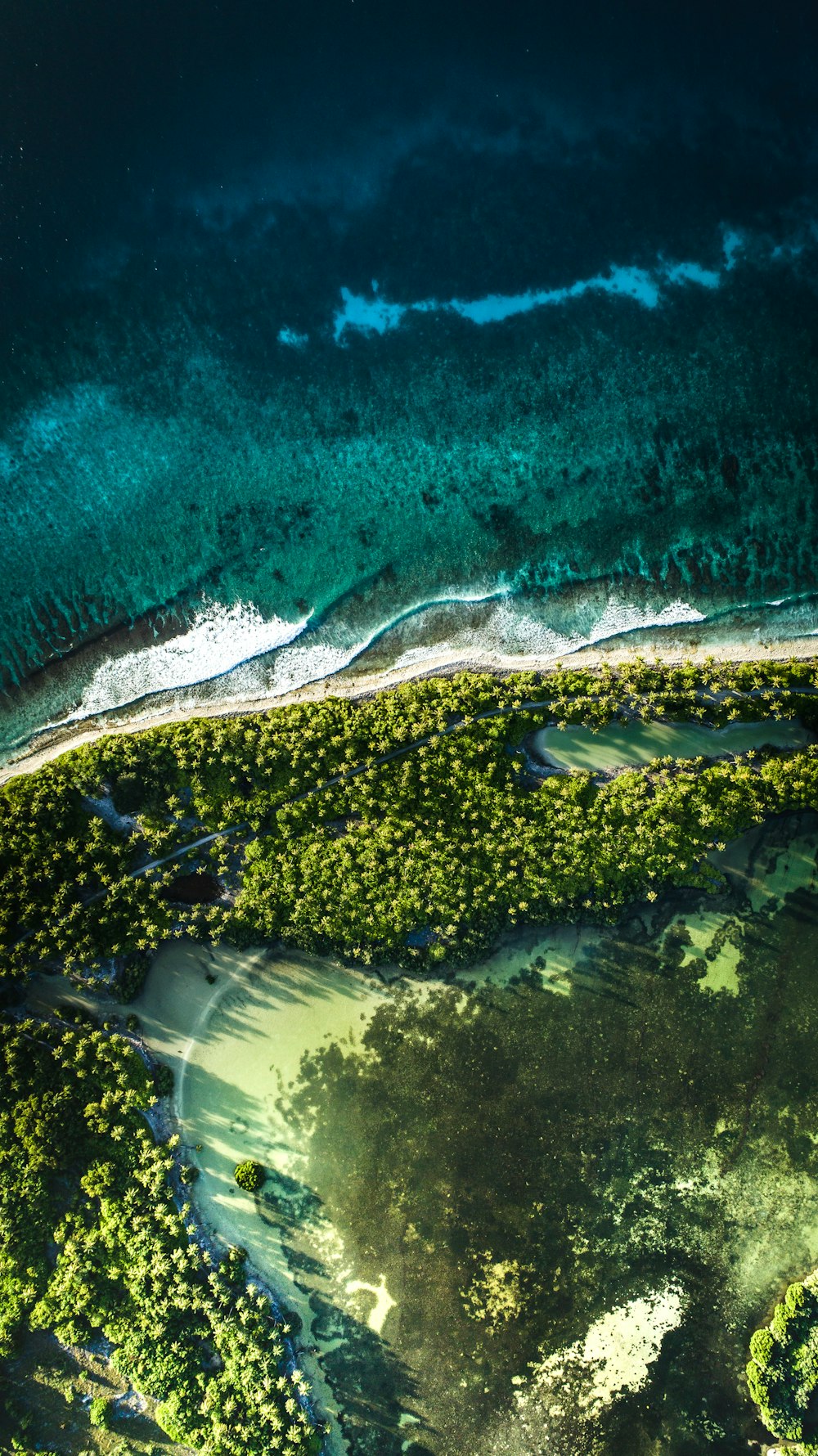 filled with green trees Island