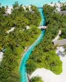 Aerial view of a vibrant tropical landscape featuring a winding turquoise stream bordered by lush green palm trees and vegetation. Sandy white pathways and a few buildings with thatched roofs are nestled within the greenery, and a small bridge crosses the stream.