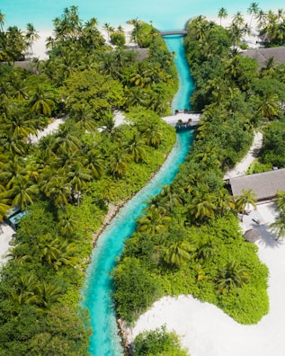 Aerial view of a vibrant tropical landscape featuring a winding turquoise stream bordered by lush green palm trees and vegetation. Sandy white pathways and a few buildings with thatched roofs are nestled within the greenery, and a small bridge crosses the stream.