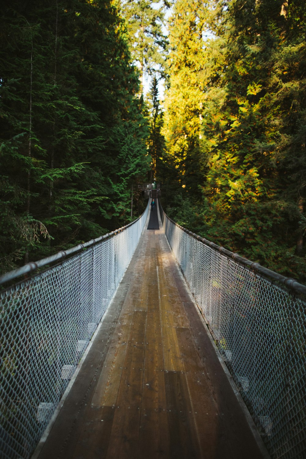 Puente colgante marrón y blanco