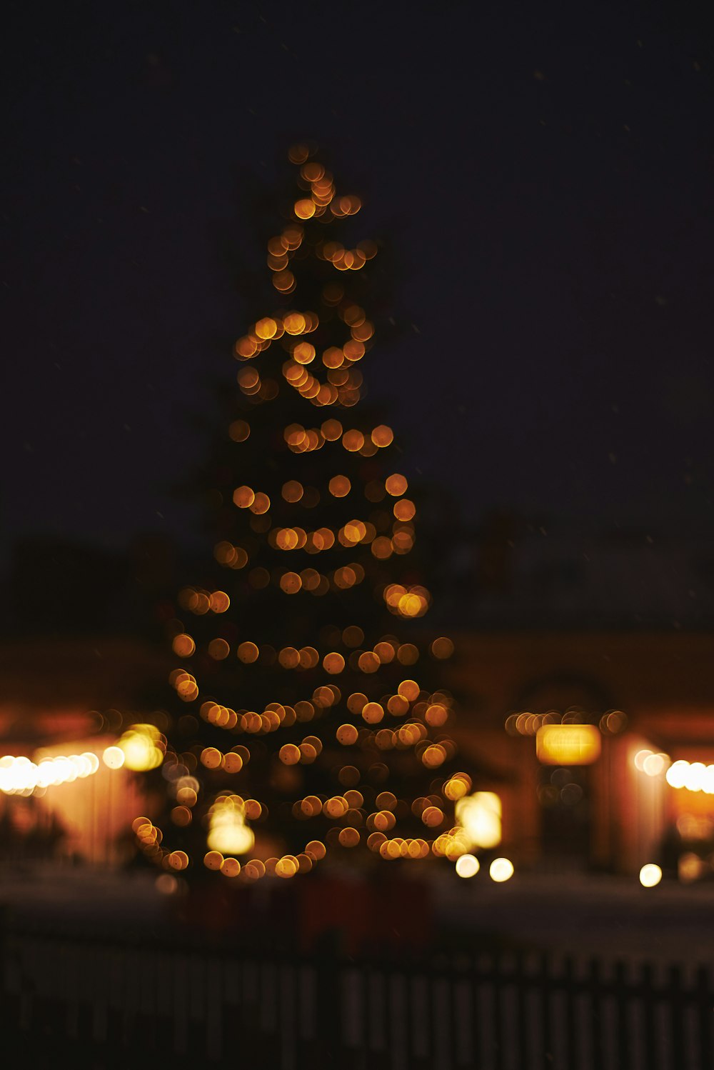 árvore de Natal perto das casas