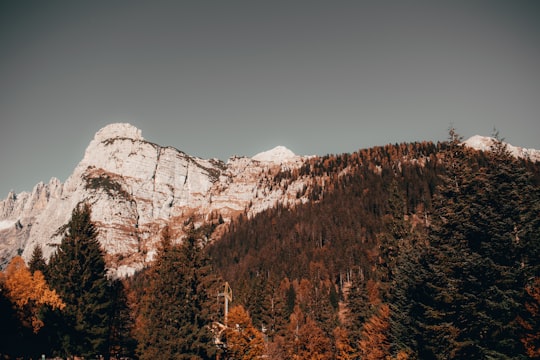 rocky hill near mountain during daytime in Parco Naturale Adamello Brenta Italy