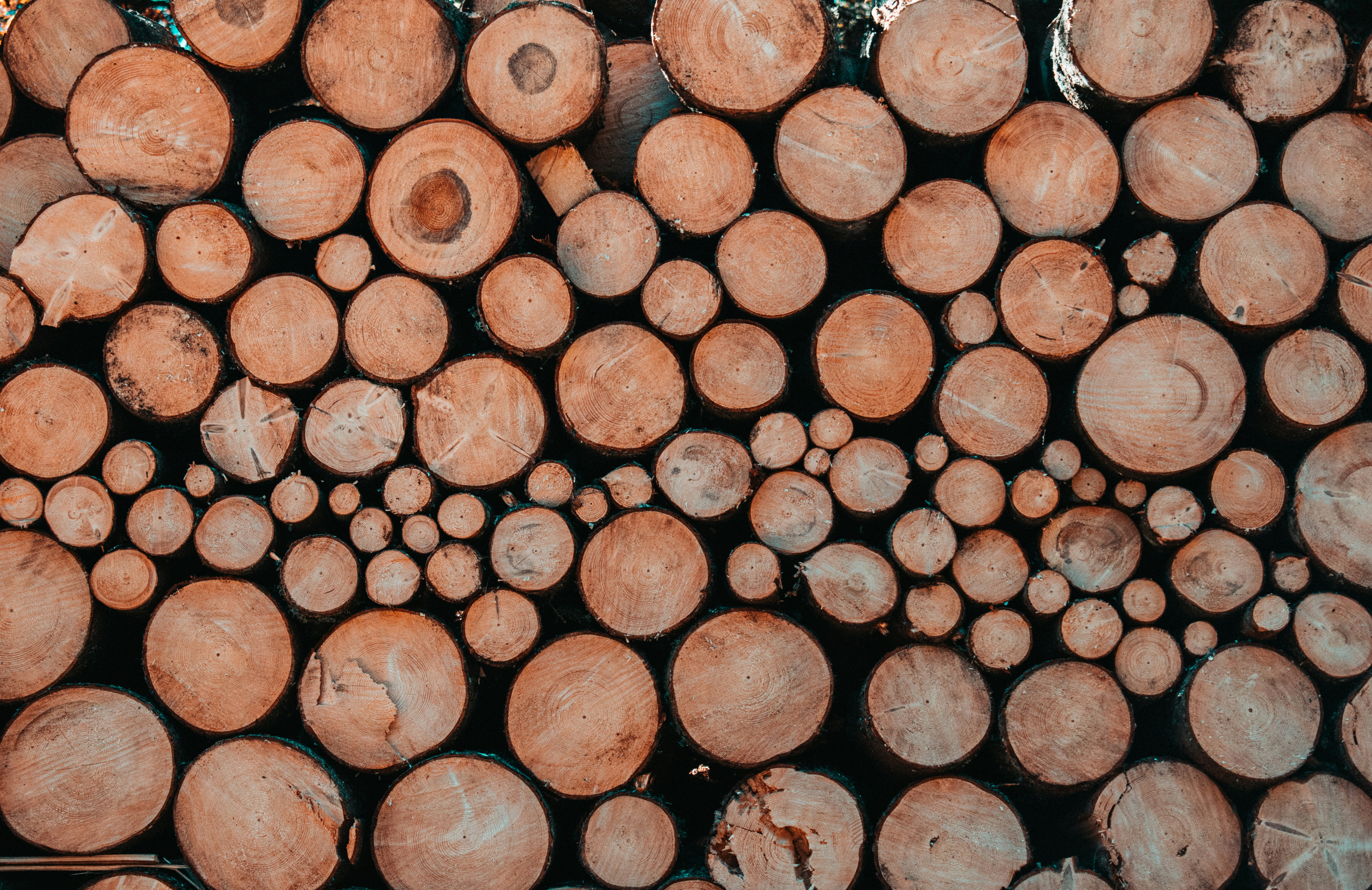 Photo by markbastard