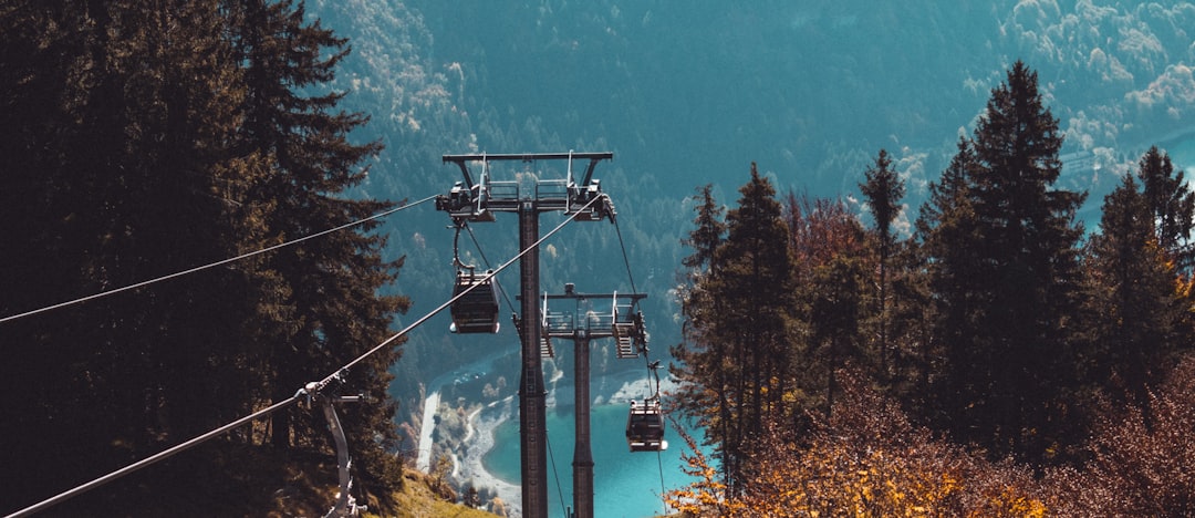 Forest photo spot Molveno Province of Trento