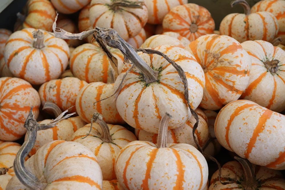 white squash lot