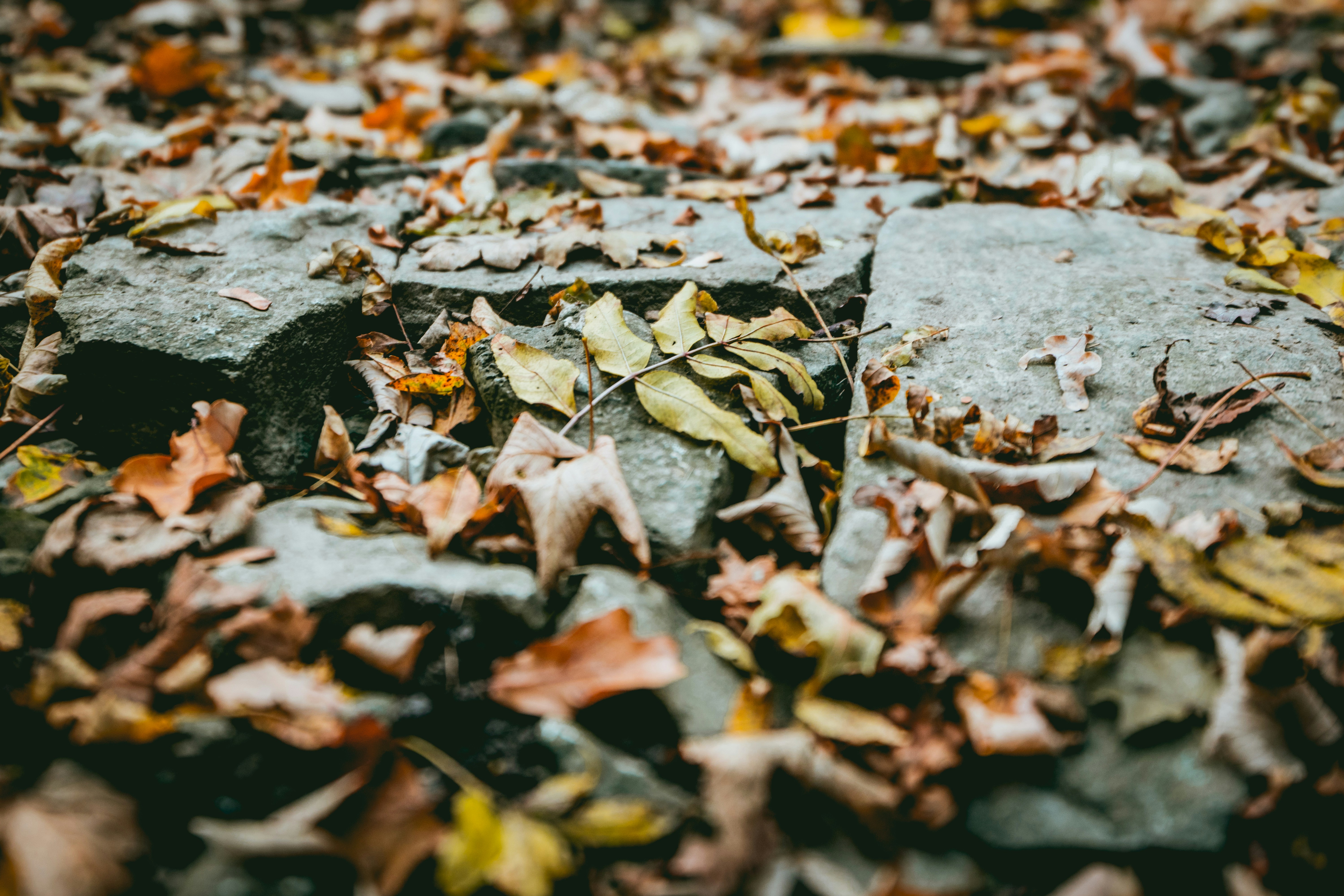 Photo by niklas_hamann