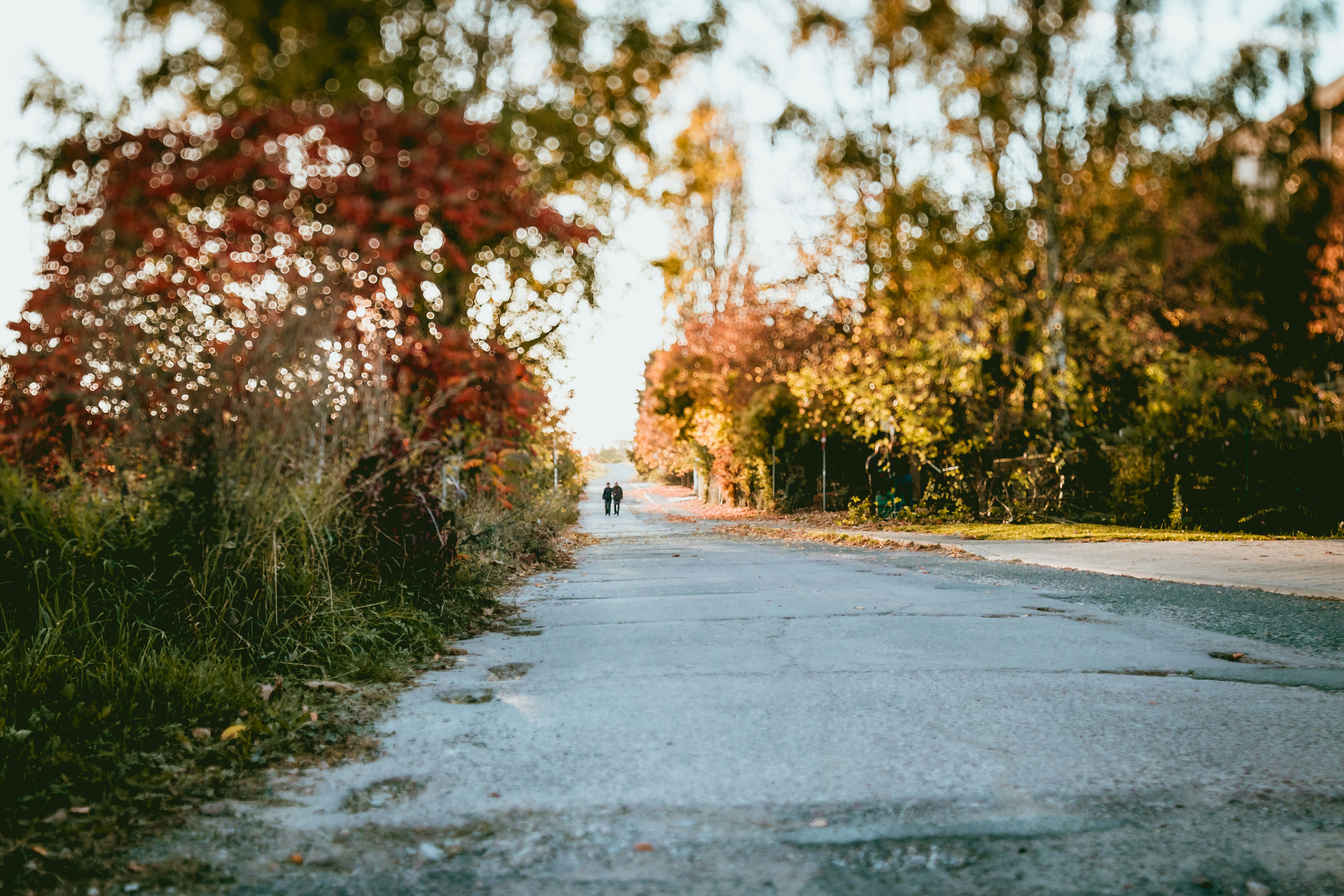 Photo by niklas_hamann