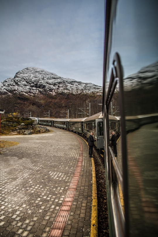 train view with mountain in Flam Norway
