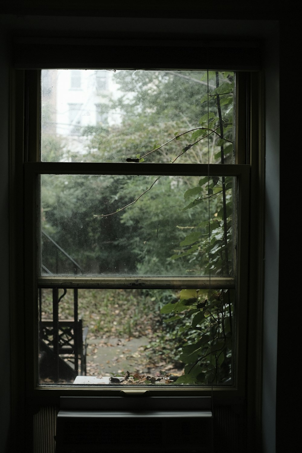 geschlossenes Klarglasfenster vor den Pflanzen