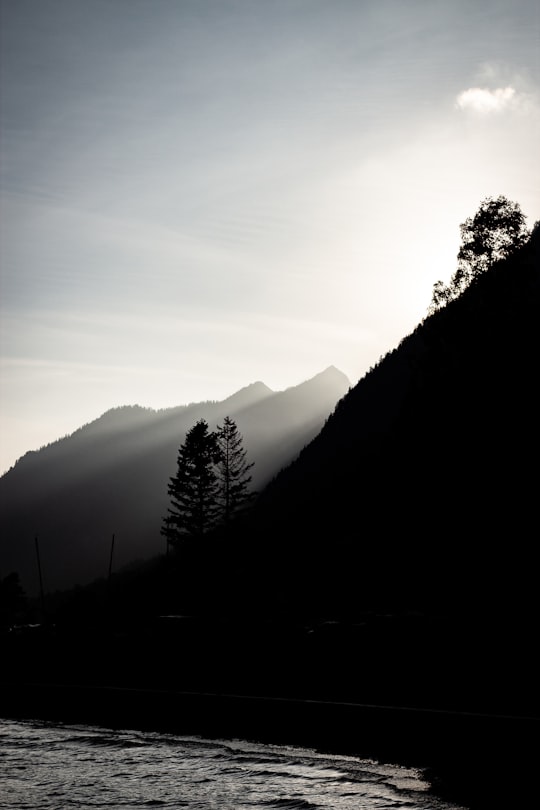 silhouette photo of tree on mountain in Plansee Austria