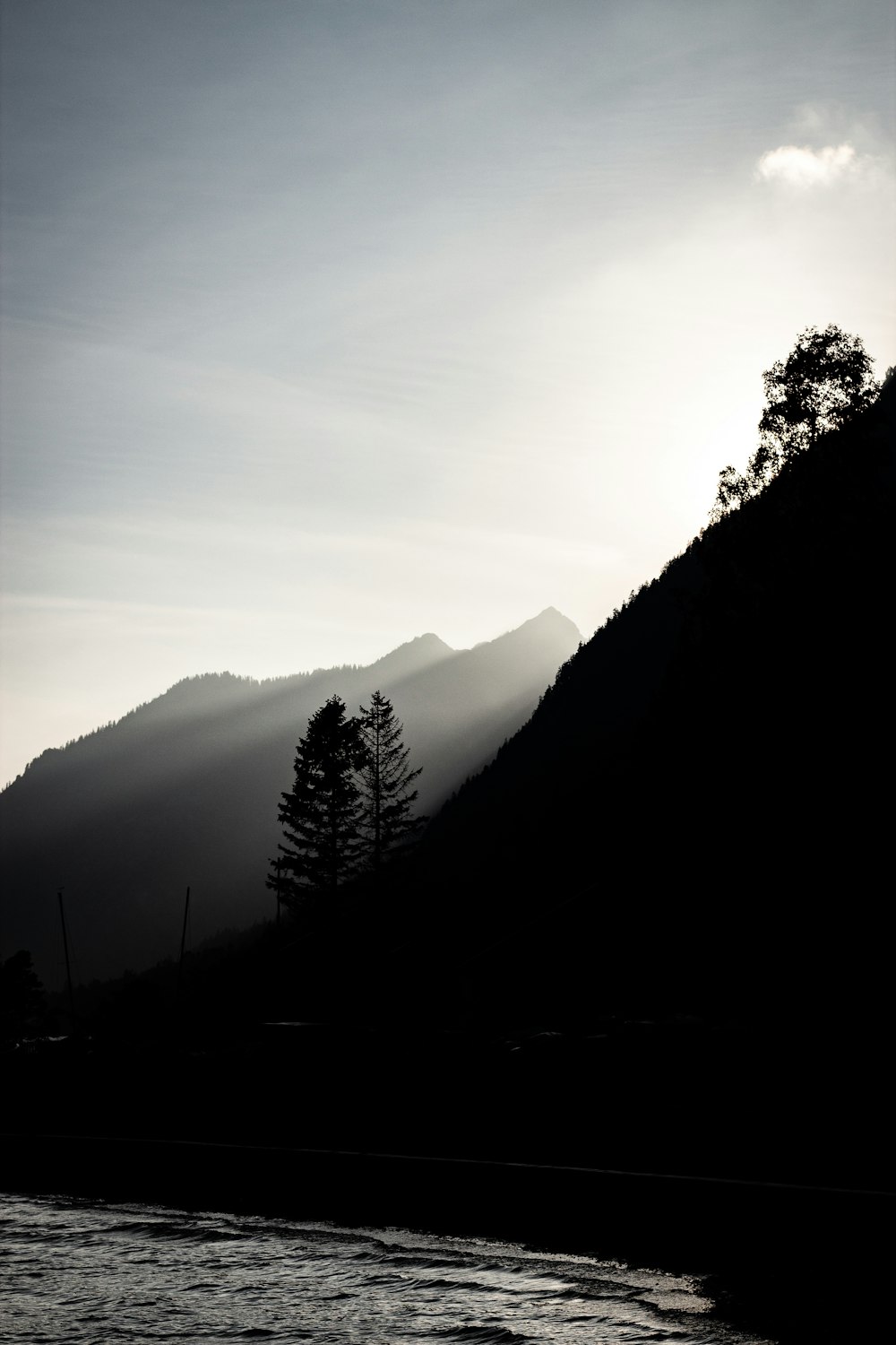 silhouette photo of tree on mountain