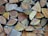 Close-up of seasoned firewood logs neatly arranged in a stack.